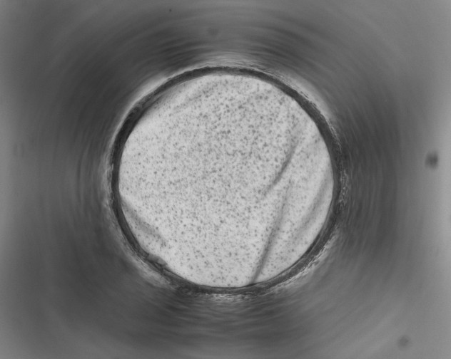 X0000116781029201001141507