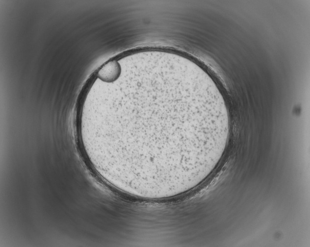 X0000116781030201001141507