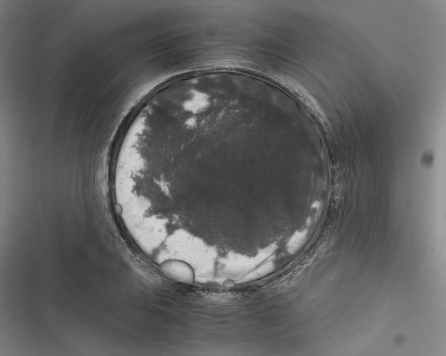 X0000116781031201001141507