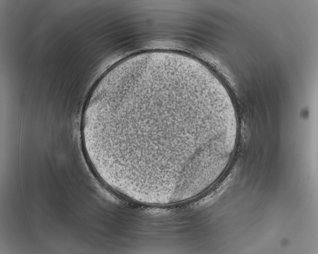 X0000116781033201001141507