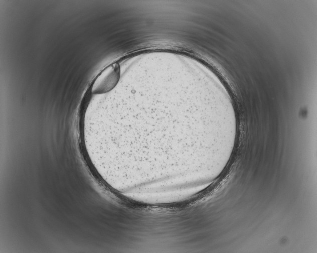 X0000116781034201001141507