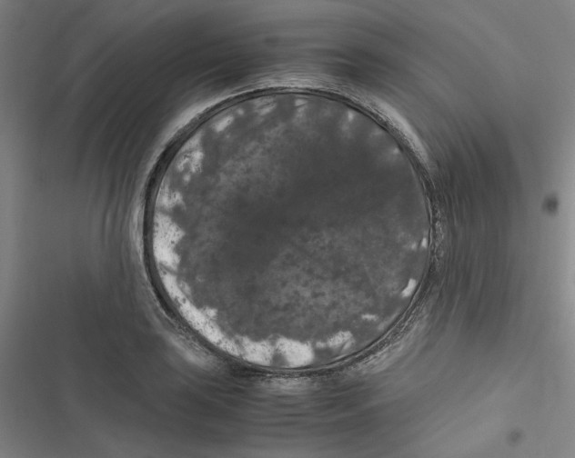 X0000116781035201001141507