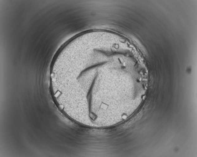 X0000116781036201001141507