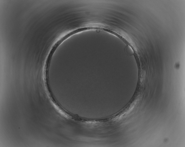 X0000116781037201001141507