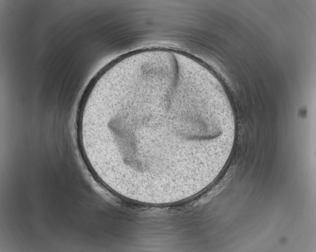 X0000116781038201001141507