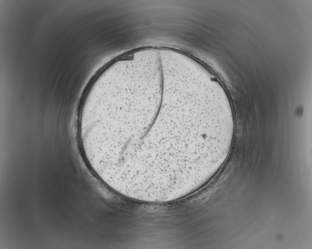 X0000116781040201001141507