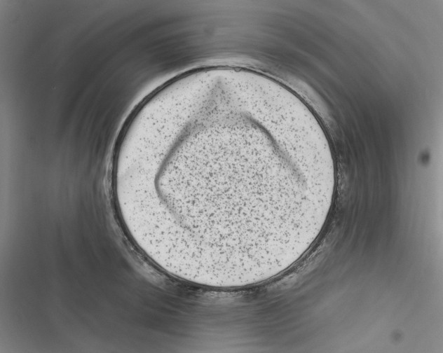 X0000116781044201001141507