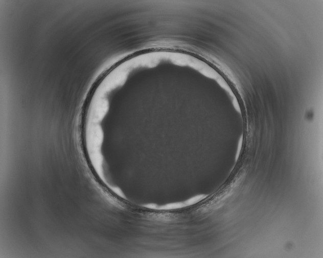 X0000116781045201001141507