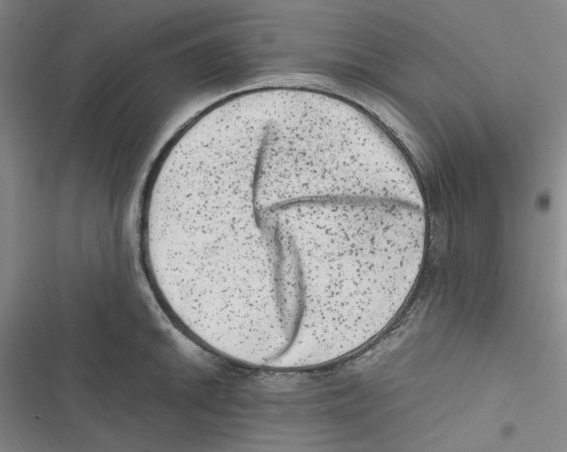 X0000116781046201001141507