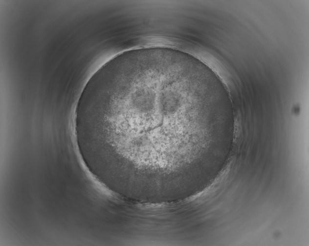 X0000116781047201001141507