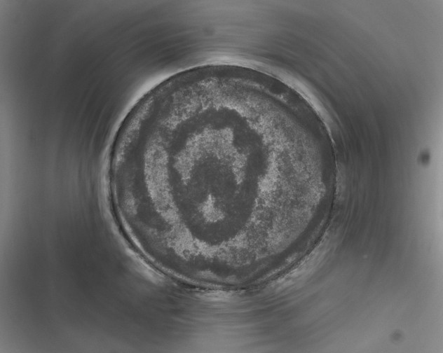 X0000116781048201001141507