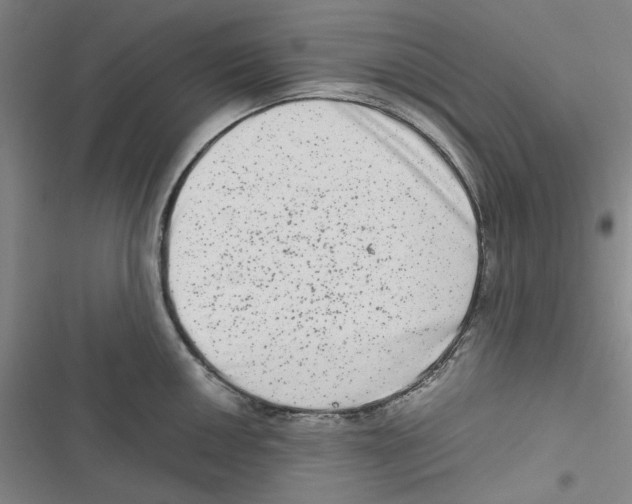 X0000116781050201001141507