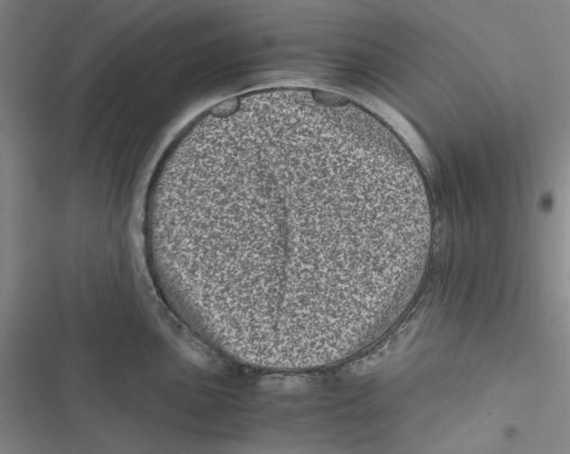 X0000116781051201001141507