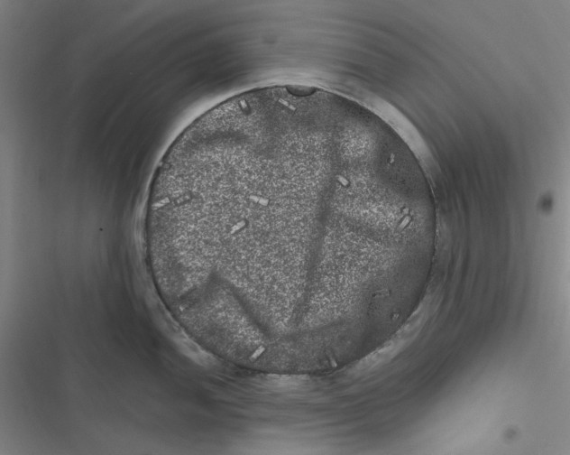 X0000116781052201001141507
