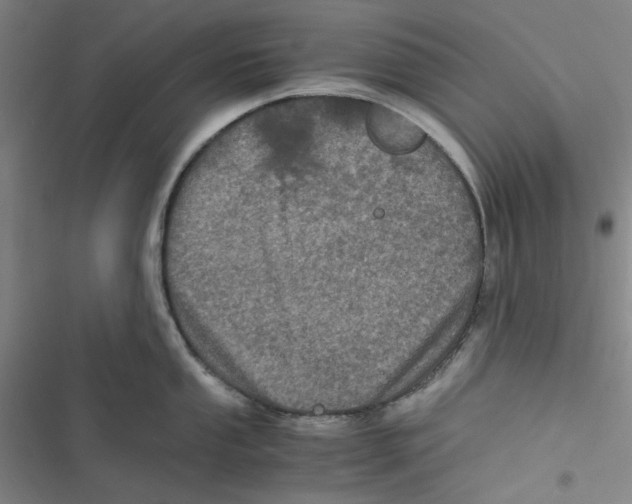 X0000116781053201001141507