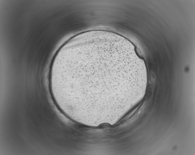 X0000116781054201001141507