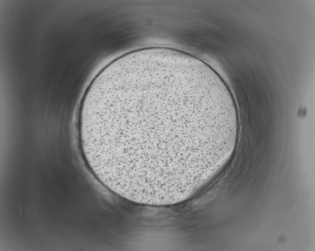 X0000116781056201001141507