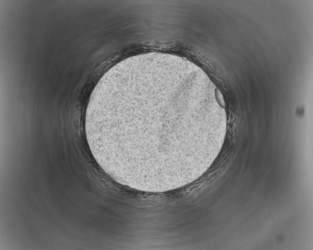 X0000116781058201001141507