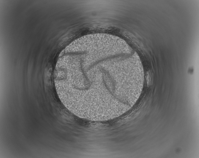 X0000116781059201001141507