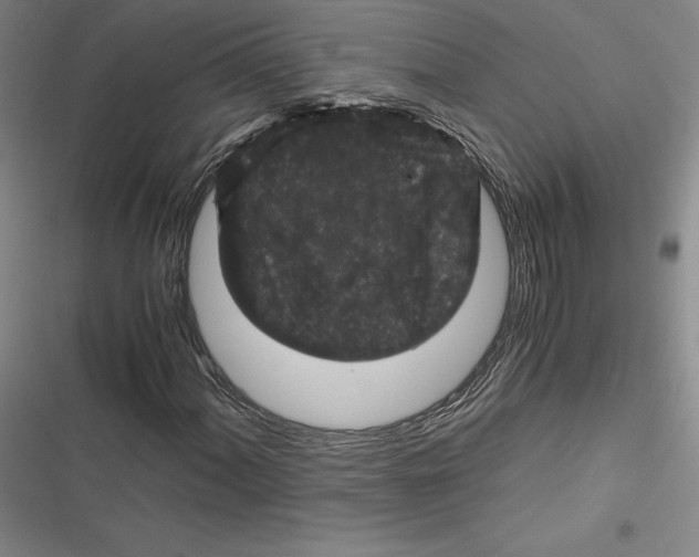 X0000116781060201001141507