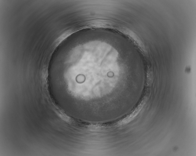 X0000116781065201001141507