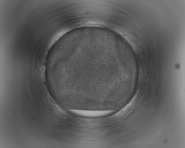 X0000116781066201001141507