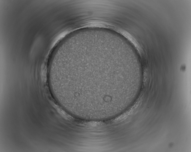 X0000116781067201001141507