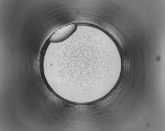 X0000116781068201001141507