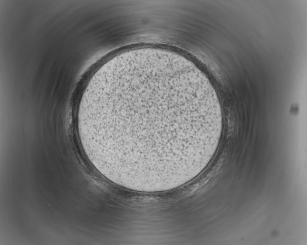 X0000116781070201001141507