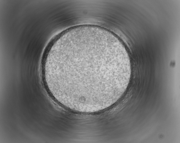 X0000116781072201001141507