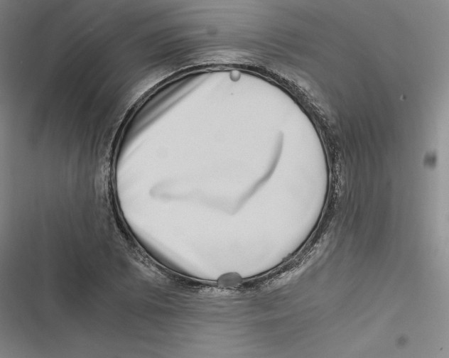 X0000116781073201001141507