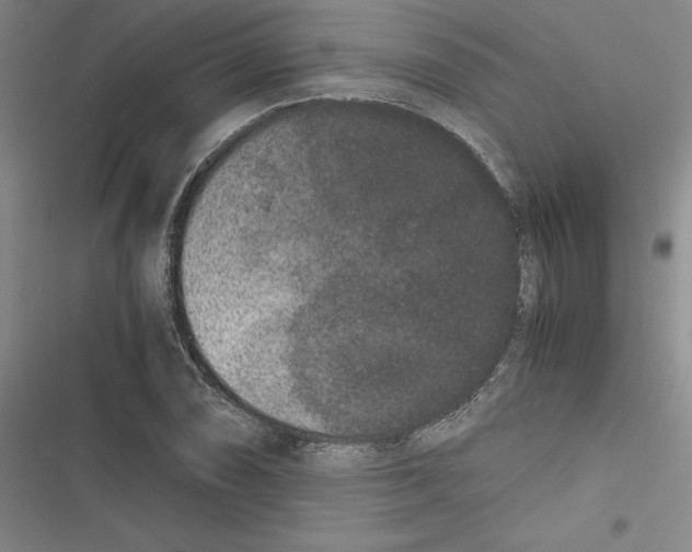 X0000116781074201001141507