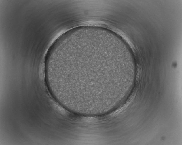 X0000116781075201001141507