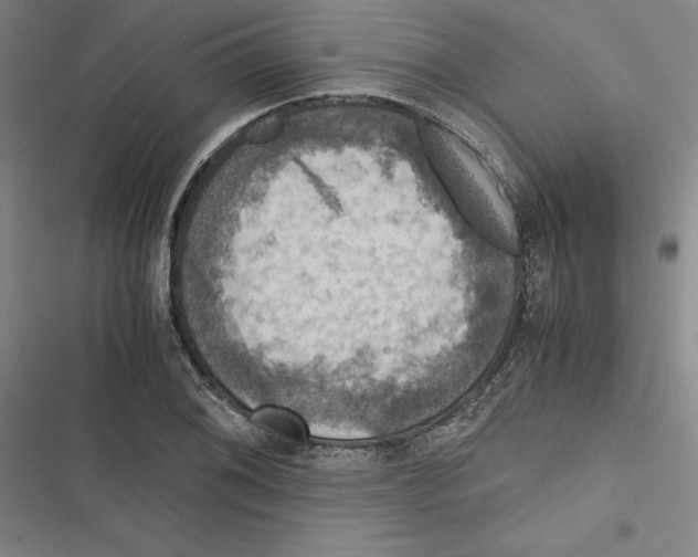 X0000116781076201001141507