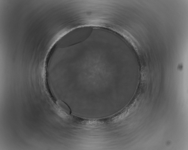 X0000116781077201001141507