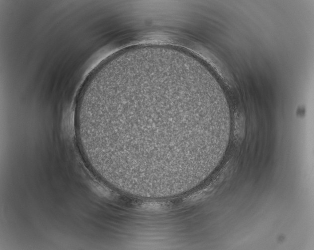 X0000116781078201001141507