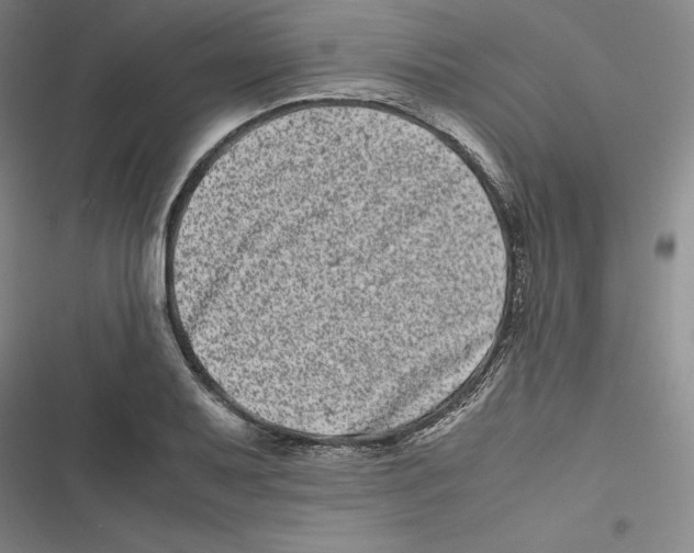 X0000116781079201001141507