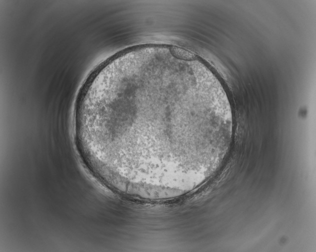X0000116781080201001141507