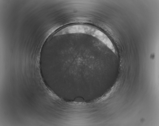 X0000116781081201001141507