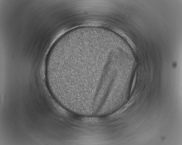 X0000116781083201001141506