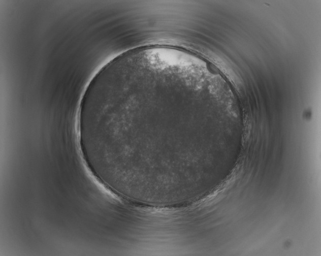 X0000116781084201001141506