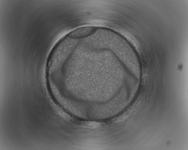 X0000116781085201001141506