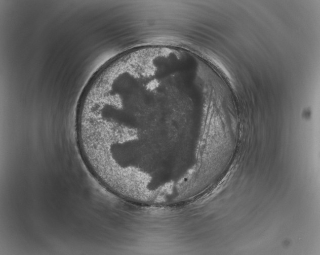 X0000116781087201001141506