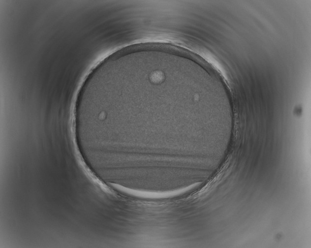 X0000116781088201001141506