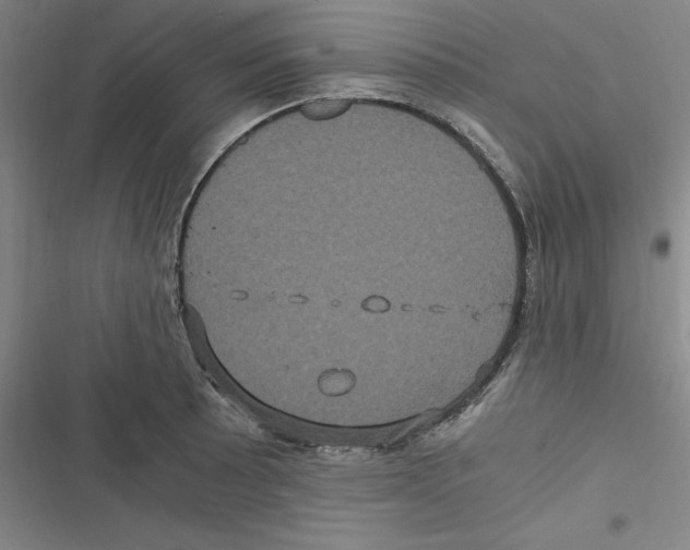 X0000116781089201001141506