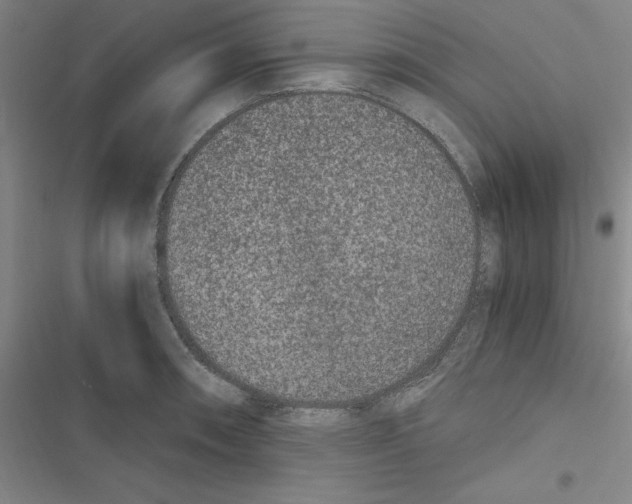 X0000116781090201001141506