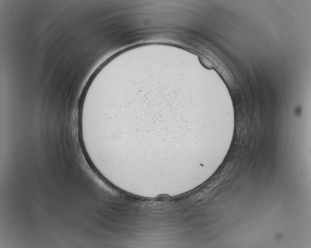 X0000116781092201001141506