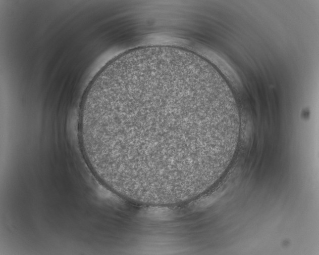 X0000116781094201001141506