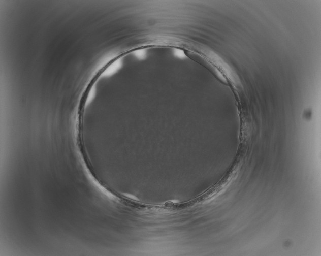 X0000116781095201001141506