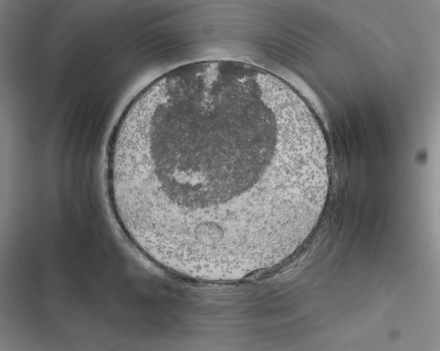 X0000116781096201001141506